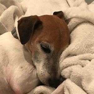 Meet your Posher, Kristine